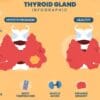 Understanding Thyroid Cancer: What You Need Know