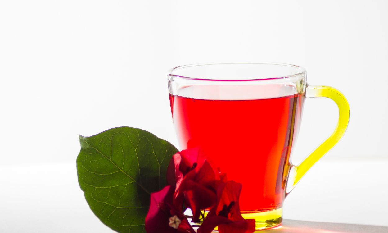 health benefits of jamaica drink