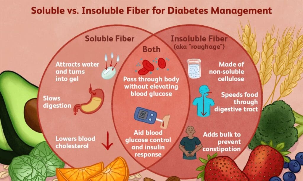 What is the difference between soluble and insoluble fiber? - FITPAA