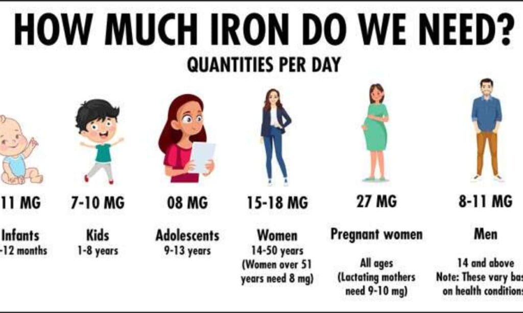 What is the daily intake of iron? FITPAA