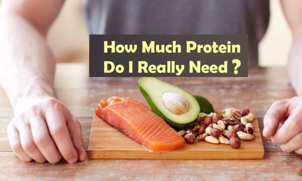 how-much-protein-do-i-need-fitpaa