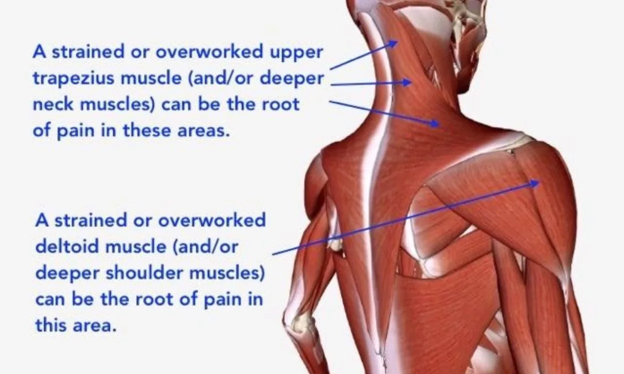 Neck and Shoulder Pain Relief  4 Tips For Easing Neck & Shoulder Tension